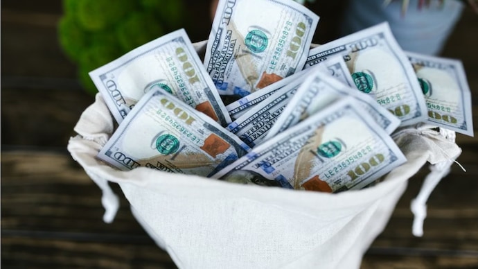 Police recovered Rs 1.85 lakh and USD 2,600 from the accused, identified as Savita Gandhi, also known as Saroj Gandhi. (Representative photo) Rajasthan man stumbles upon bag full of foreign currency