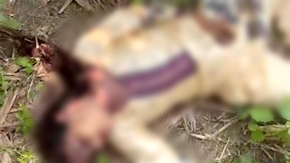 UP woman found dead days before dowry verdict, family accuses husband of murder