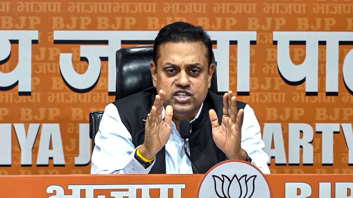 6 years of marriage, 12 children: BJP cites bizarre voter records to defend SIR