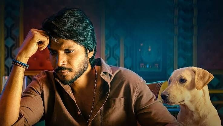 Sigma box office Day 5: Jason Sanjay's debut crawls towards Rs 10 crore in India