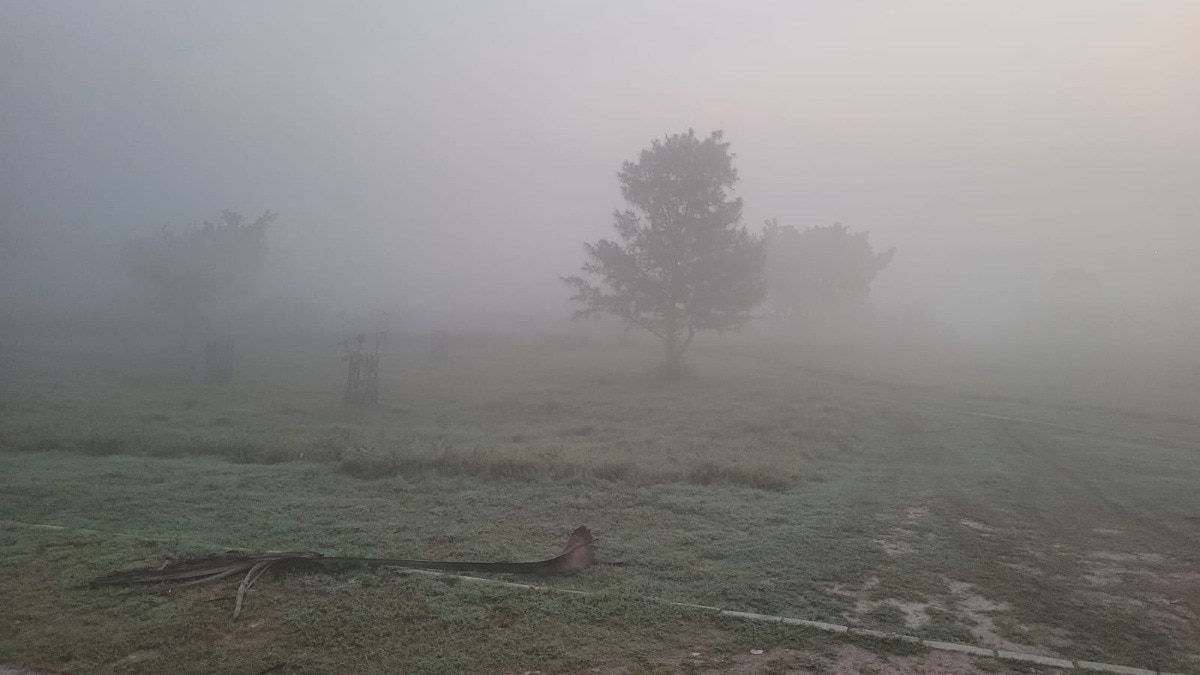 Smog returns to Delhi: Is the capital bracing for another polluted winter?