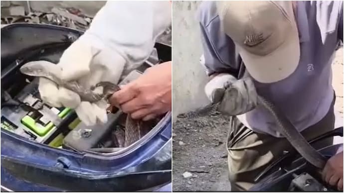 A snake was rescued from a parked scooter in Uttarakhand's Haldwani. snake