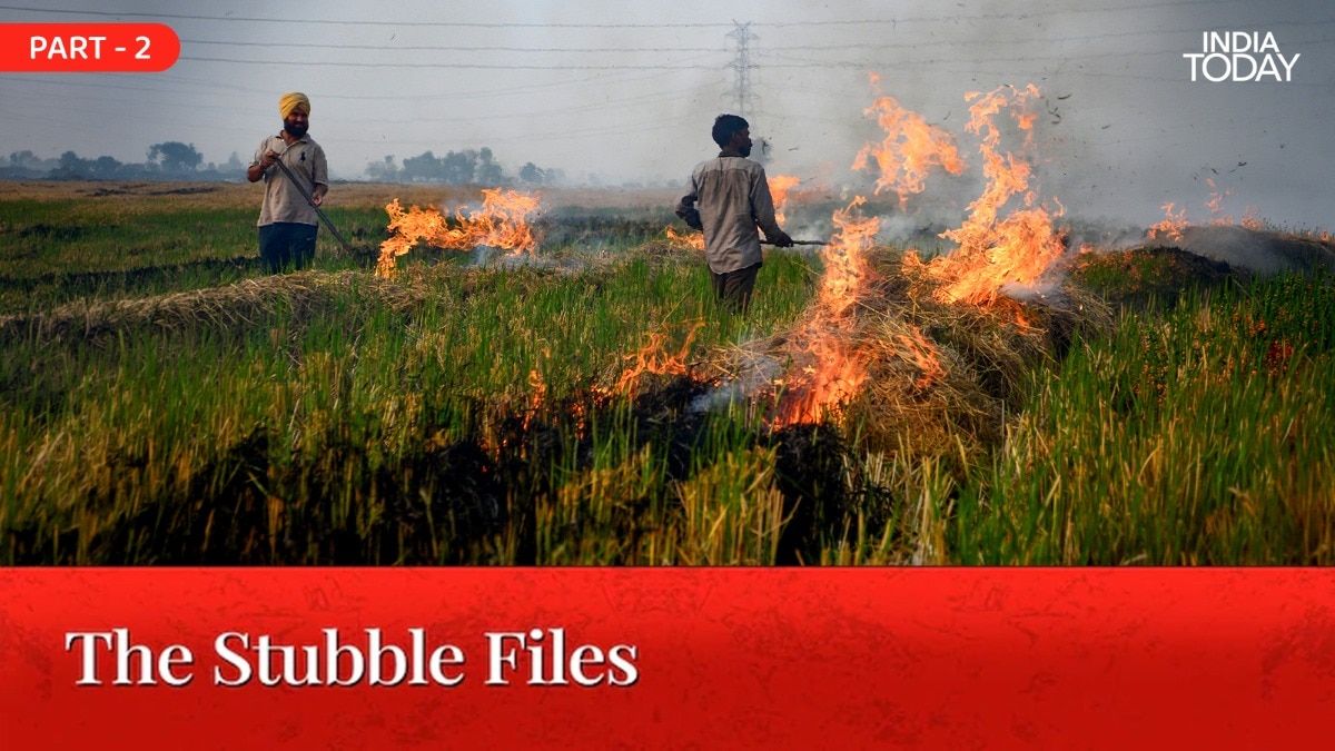 The Fix on the Shelf: Why Happy Seeders Have Not Stopped India's Stubble Fires