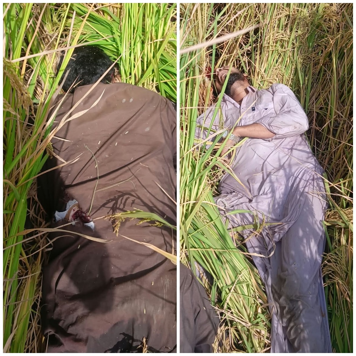 BSF shoots dead 2 suspected Pakistani intruders along Punjab border