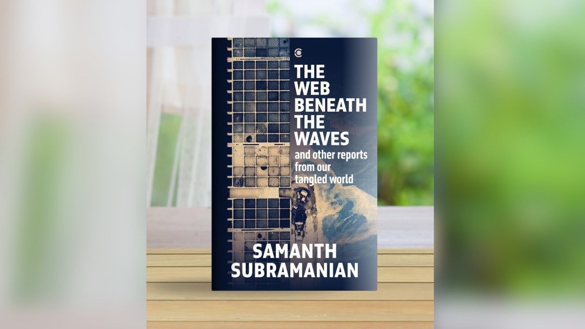 'Web Beneath the Waves': The world in the details