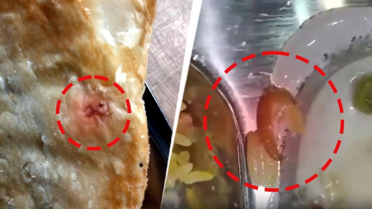 Worm found in Greater Noida hostel meal, food safety team shuts kitchen