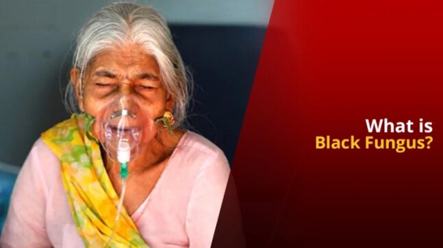Mucormycosis All You Need To Know About Black Fungus Indiatoday