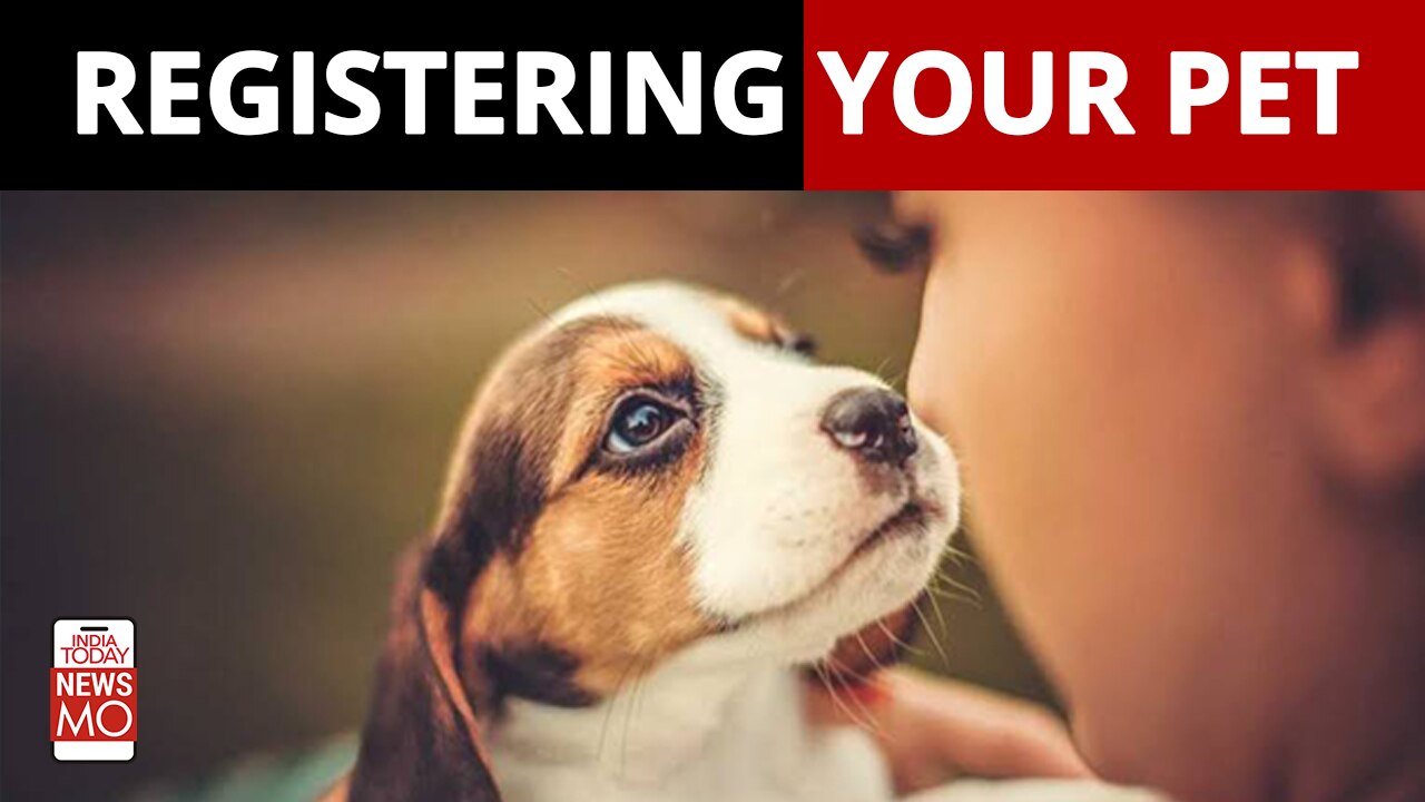 Delhi East Delhi Has Made Registration of Pets Compulsory India Today