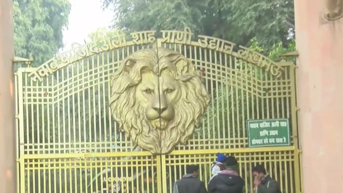 Heaters, blankets placed inside cages to protect animals from cold wave