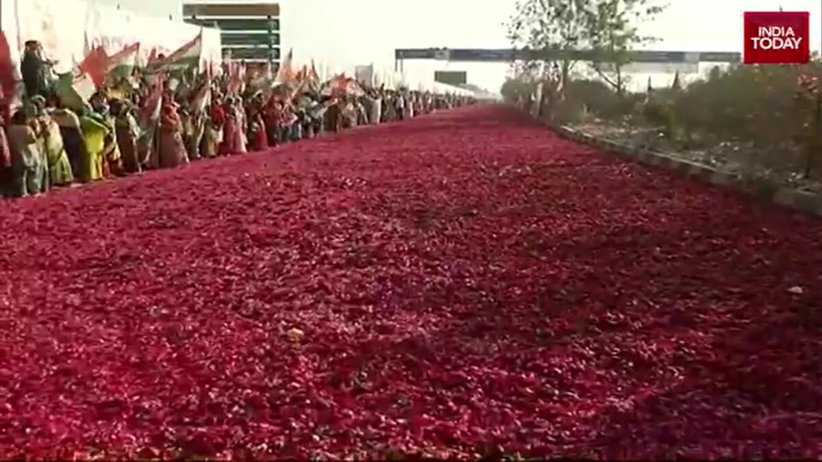 Raipur street paved with flower petals to welcome Priyanka Gandhi's arrival for Congress plenary meet - India Today