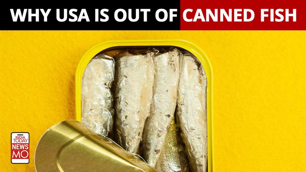 No tinned fish left in America, why? India Today