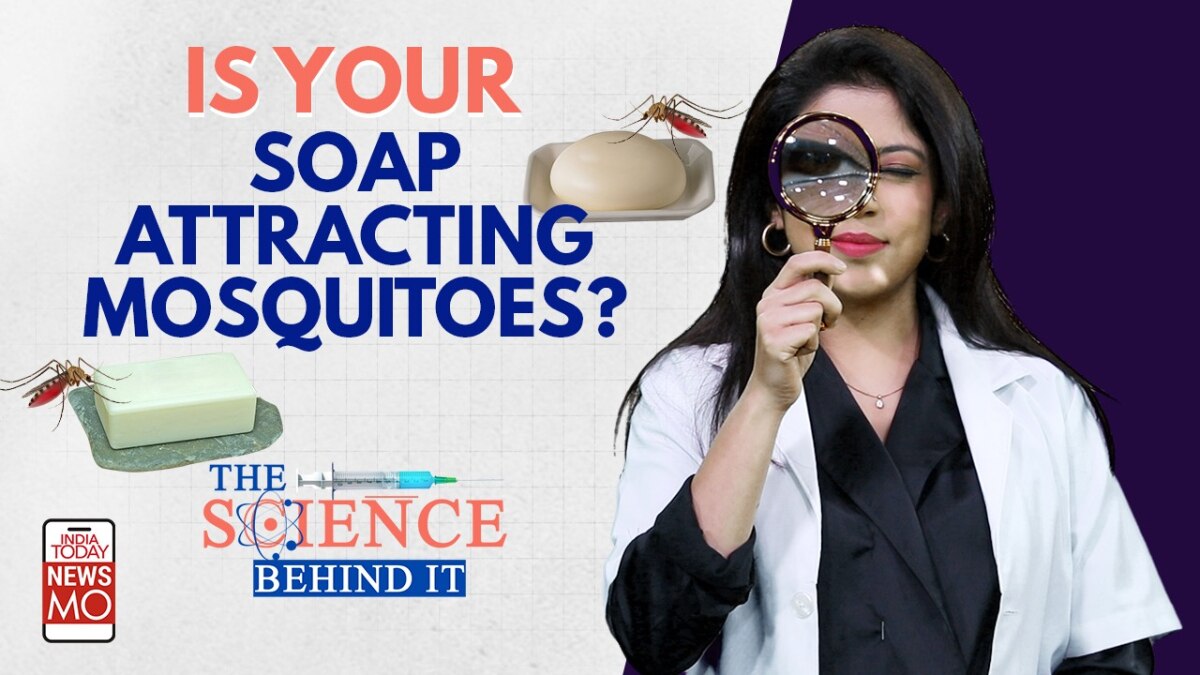 Is Your Soap Attracting Mosquitoes? ll 'The Science Behind It' India