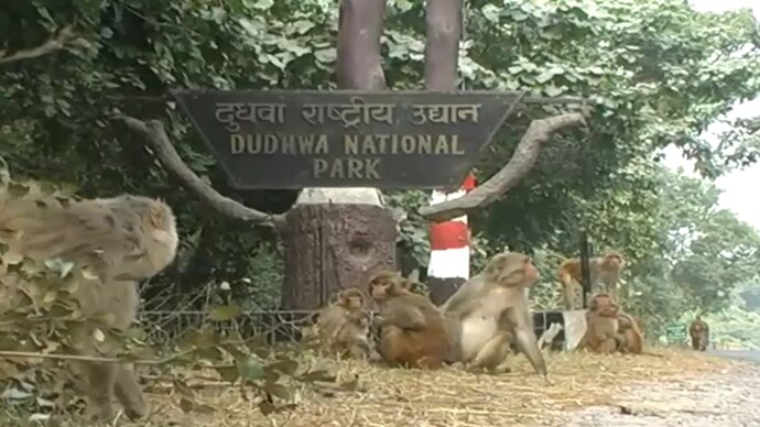 No rift within party, BJP united stands united: Harsh Vardhan - India Today