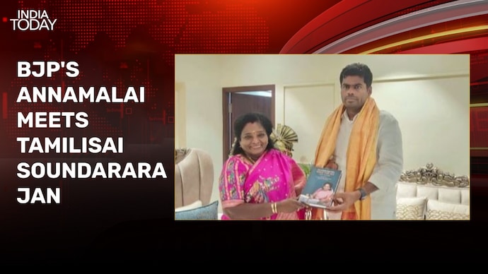 BJP's Tamilisai Soundararajan, Annamalai put up show of unity amid rift rumours