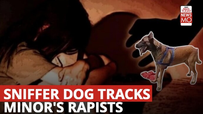 Minors who gang-raped and murdered an eight-year-old girl in Andhra Pradesh were arrested with the help of a sniffer dog Newsmo