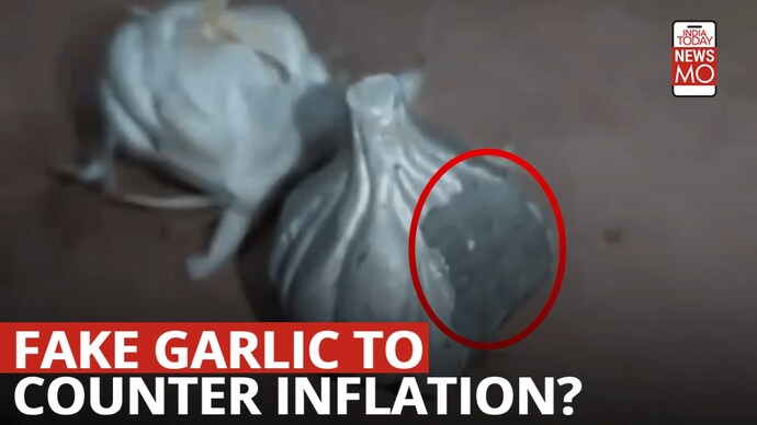 Akola: Buyers' response on artificial garlic made of cement Cement Garlic