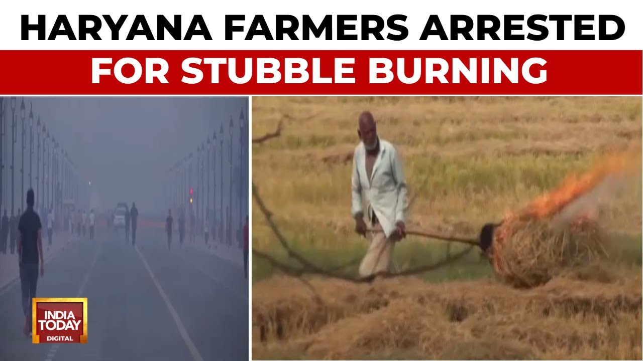 Haryana arrests 14 farmers over stubble burning India Today