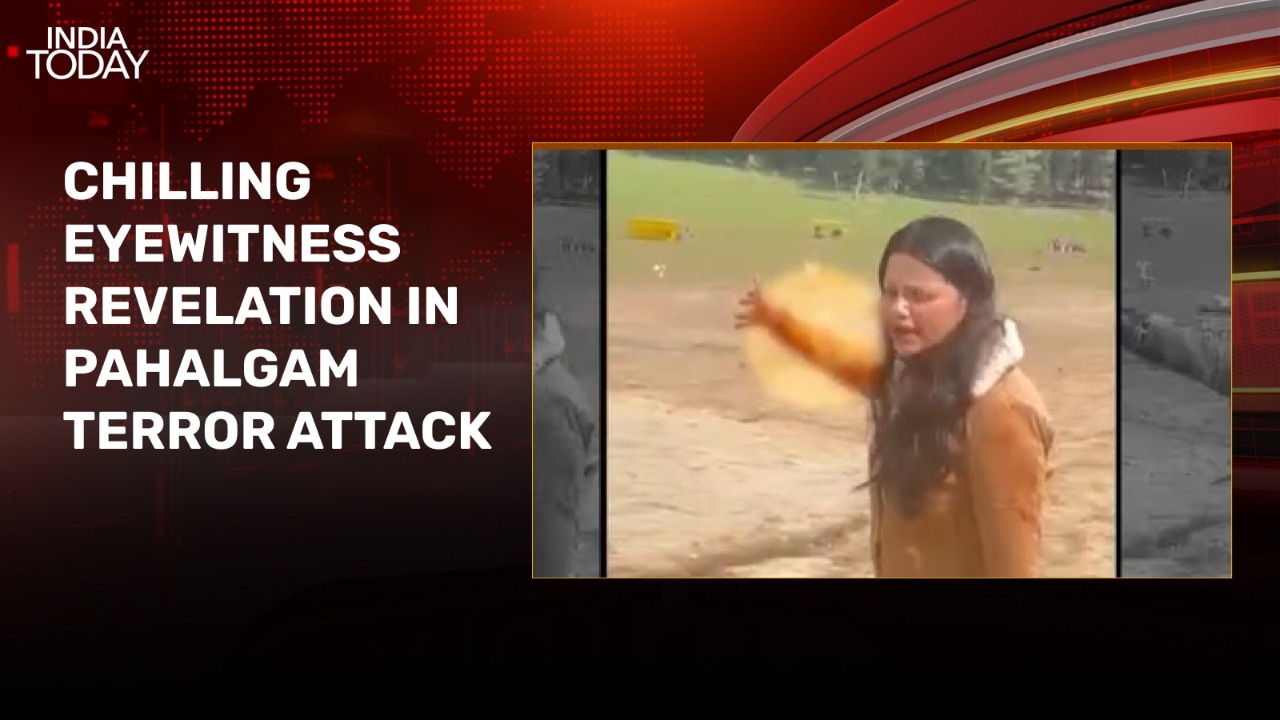 Pahalgam attackers fired in air to celebrate after killing tourists: Eyewitness