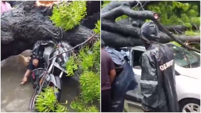 Video: A heavy tree falls on vehicles in Delhi amid rain, biker is killed Delhi rain