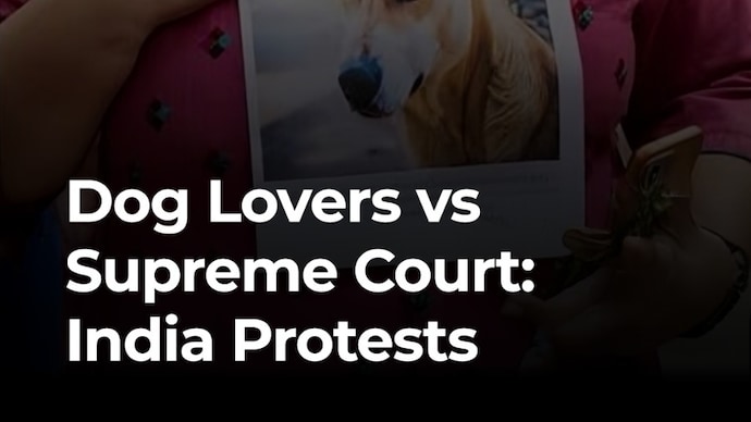 Dog Lovers vs Supreme Court: India Protests