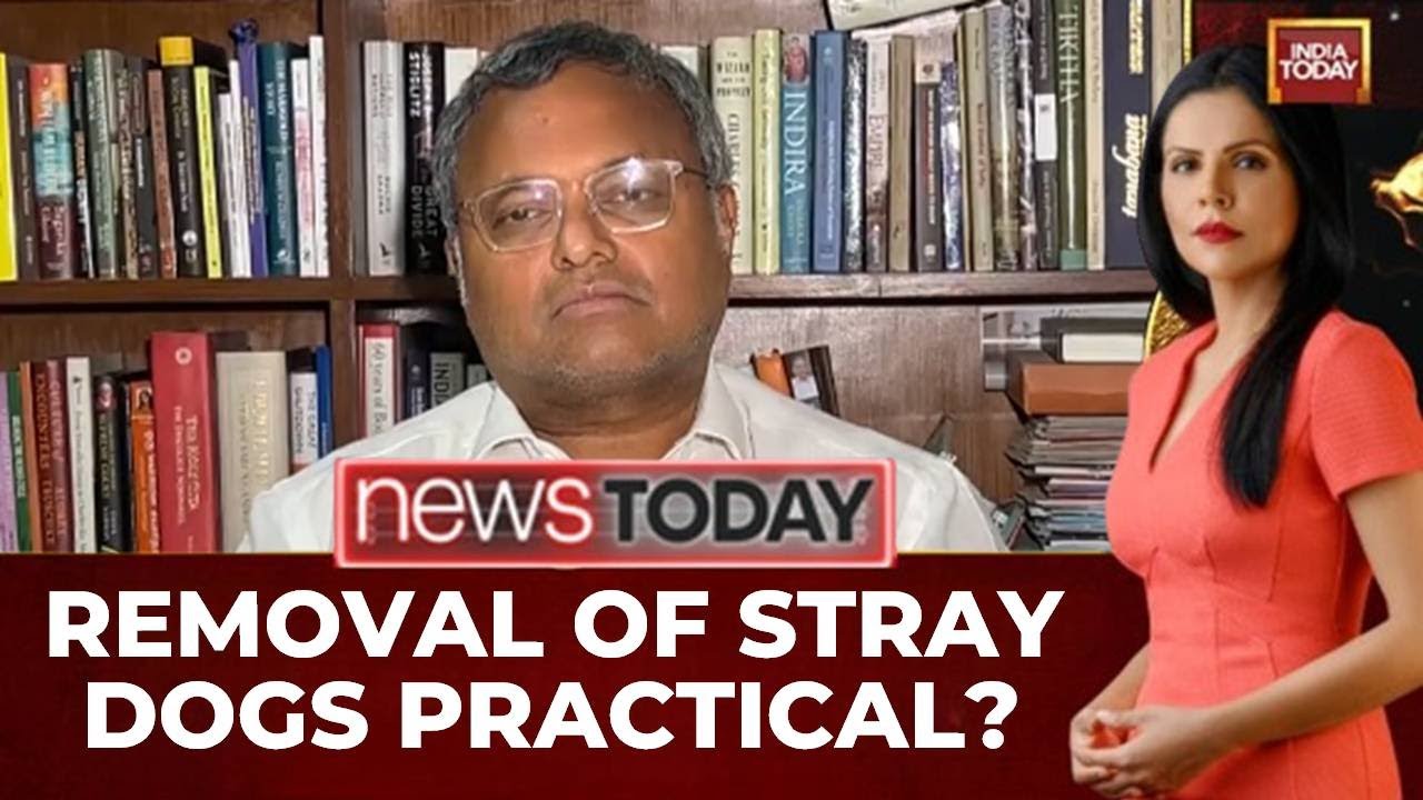 Karti Chidambaram backs top court's stray dogs order, calls for nationwide action