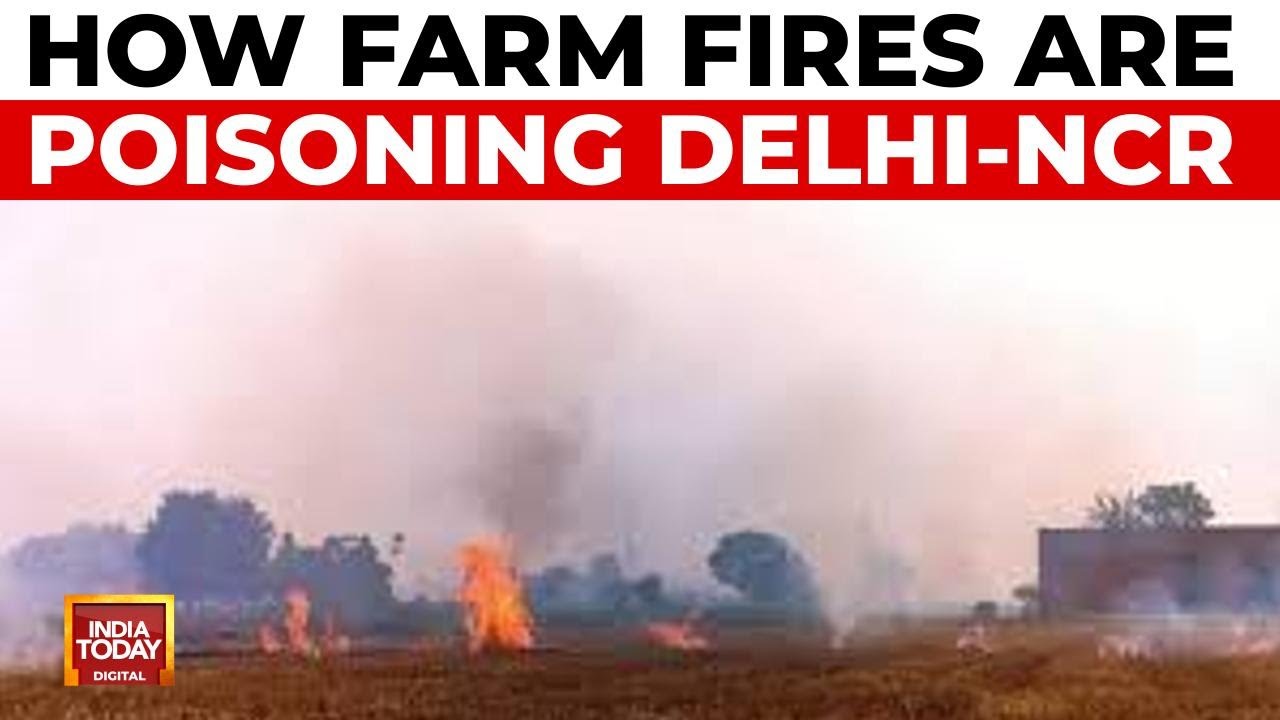 Delhi Chokes on Toxic Smog, But Punjab’s Farm Fires Continue to Rage Unchecked Delhi Chokes on Toxic Smog, But Punjab’s Farm Fires Continue to Rage Unchecked