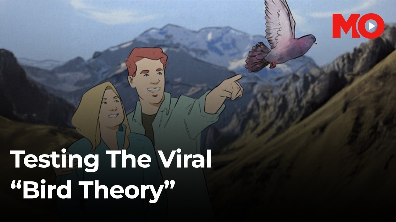 What is the viral bird theory that couples on the internet are testing each other on