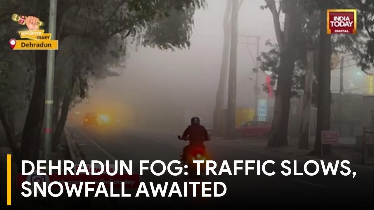Dense Fog Engulfs Uttarakhand Plains, IMD Warns as Rain and Snowfall Likely