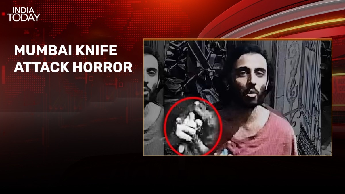 Mumbai horror: Mira Road stabbing caught on camera