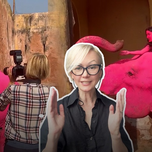 Pink Elephant