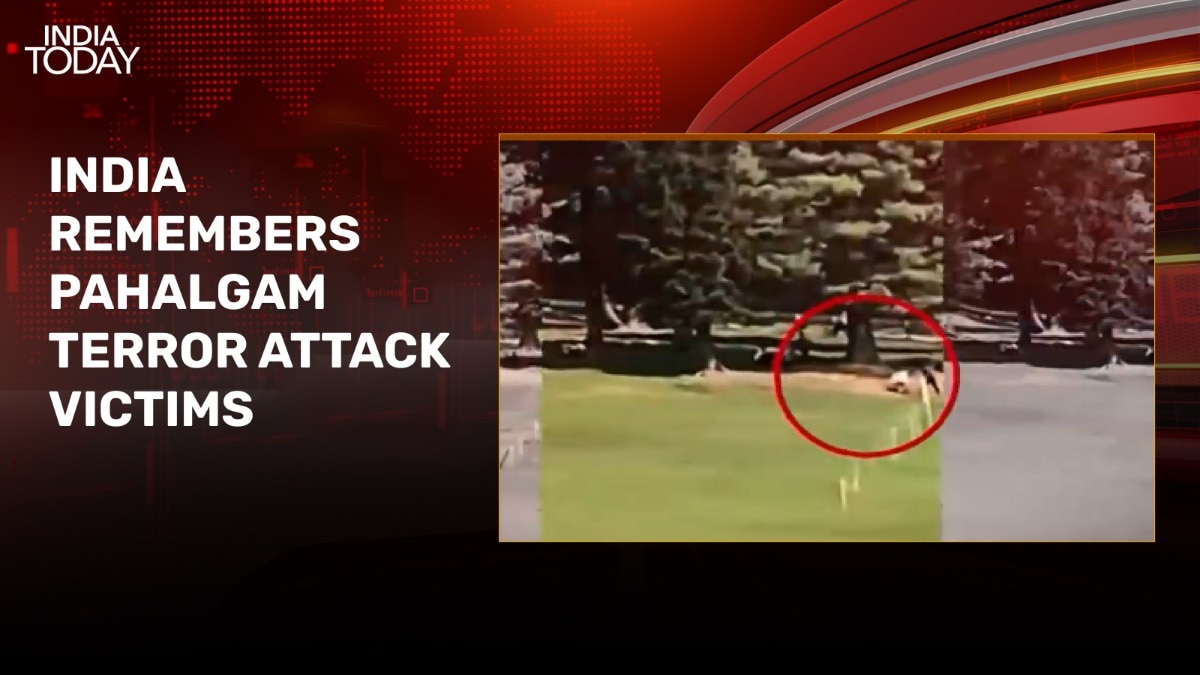 Has geopolitics changed since Pahalgam terror attack? Experts weigh in