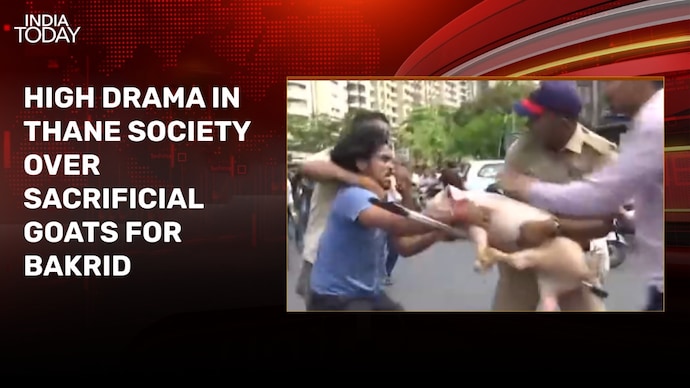 Hindu groups protest with pig to counter sacrificial goats in Thane society