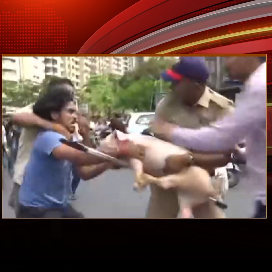 Hindu groups protest with pig to counter sacrificial goats in Thane society