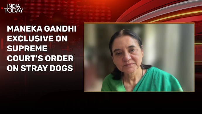 Supreme Court washed their hands of the matter: Maneka Gandhi on stray-dog issue
