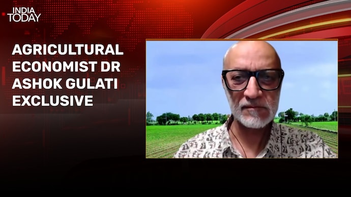 Fertiliser subsidy may hit Rs 3 lakh crore if Hormuz blockade continues: Ashok Gulati