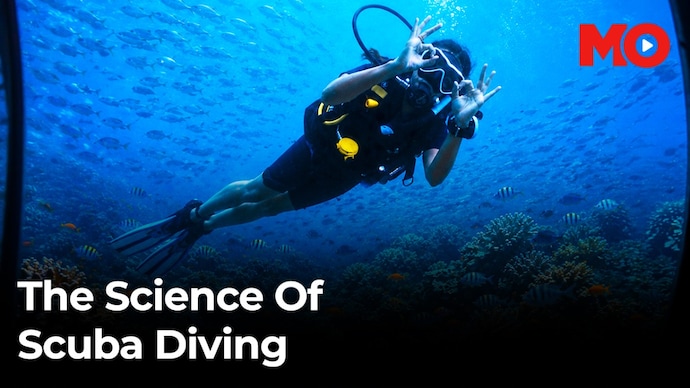 Scuba Scuba