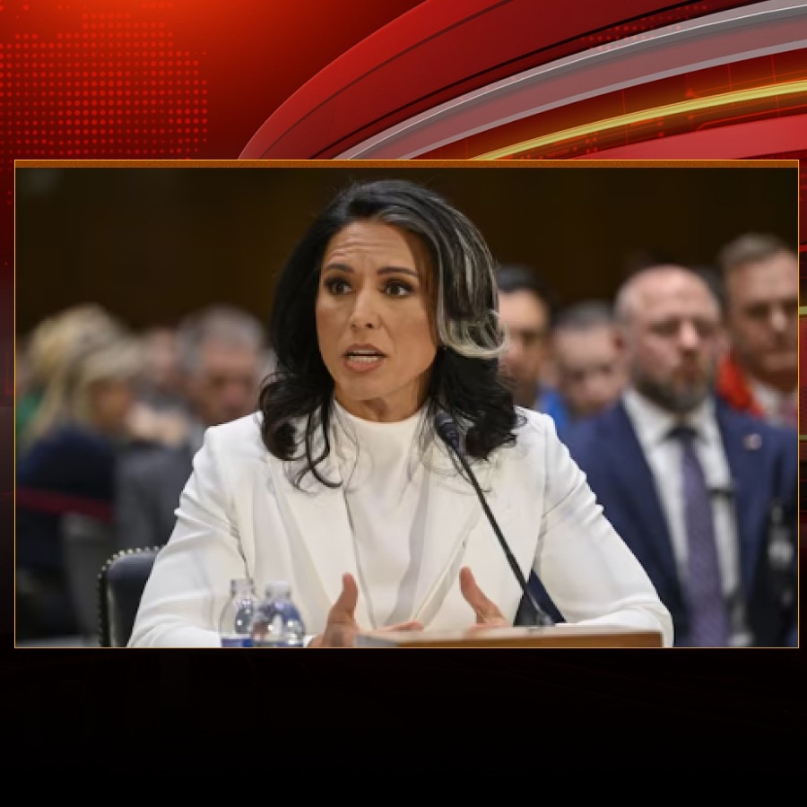 Tulsi Gabbard resigns as US intelligence chief