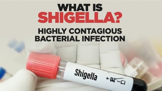 Kerala shigella scare: All you need to know about 