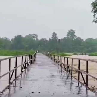 Watch: 300-metre iron bridge swept away in Assam floods, villages cut off