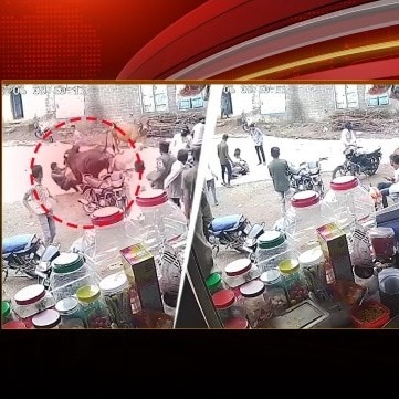 Caught on camera: Stray bulls charge at group in Gujarat, leave man injured