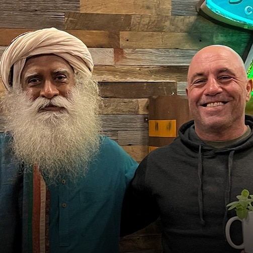 From yoga to Ayurveda: Is the West rebranding India's wellness traditions?