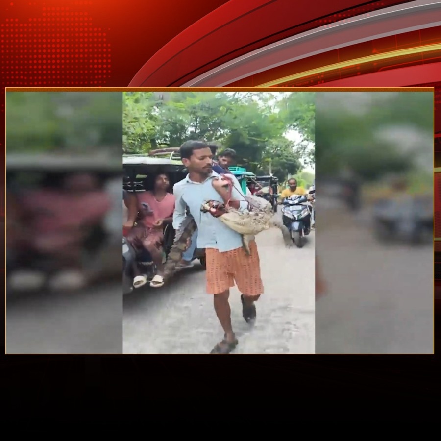 Video: Bihar farmer carries live crocodile on his shoulder to police station