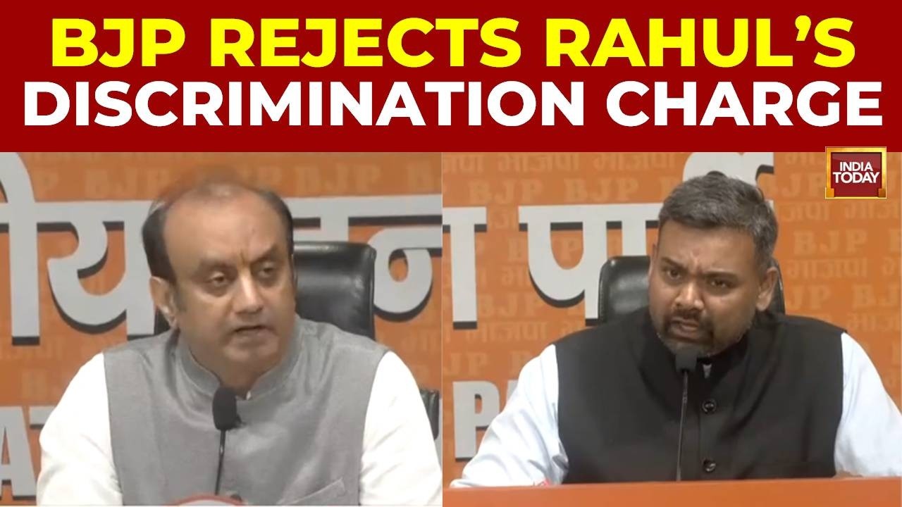 BJP Slams Rahul Gandhi On Dalit Issues, Recalls Congress Past, Rejects Caste Charges