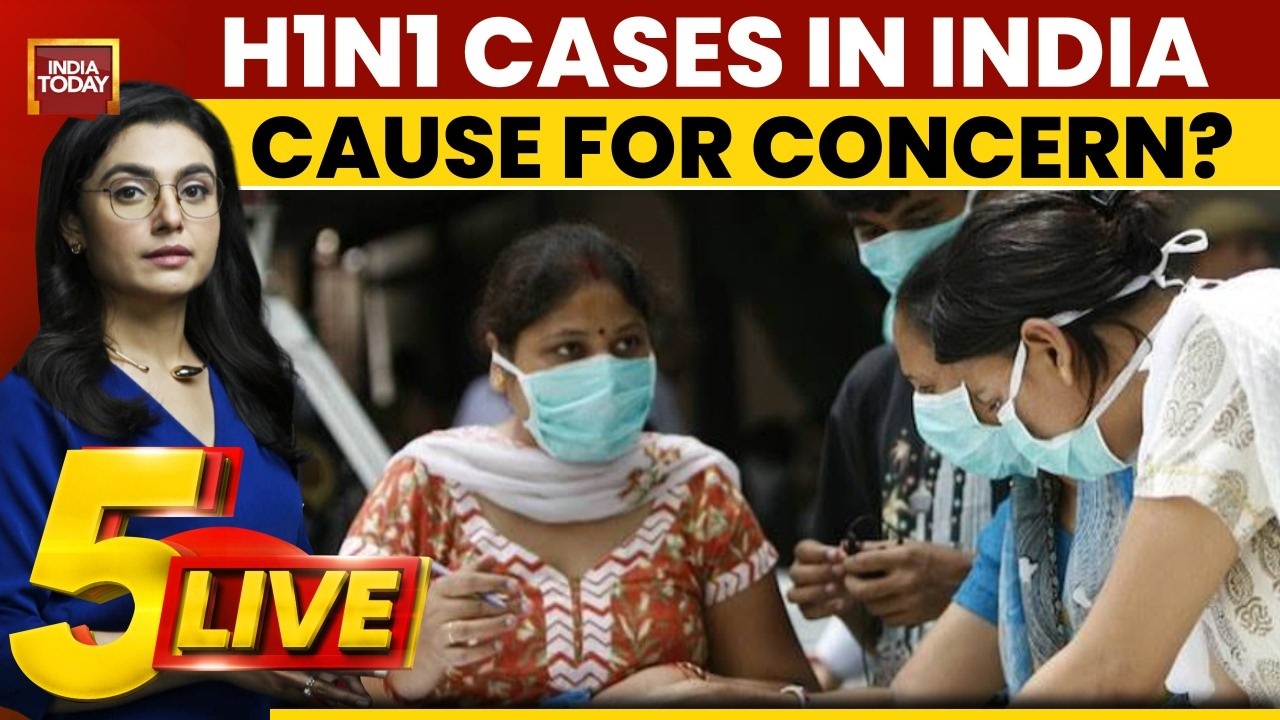 H1N1 Cases Surge Across India: Delhi, Karnataka On Alert As Festive Season Begins