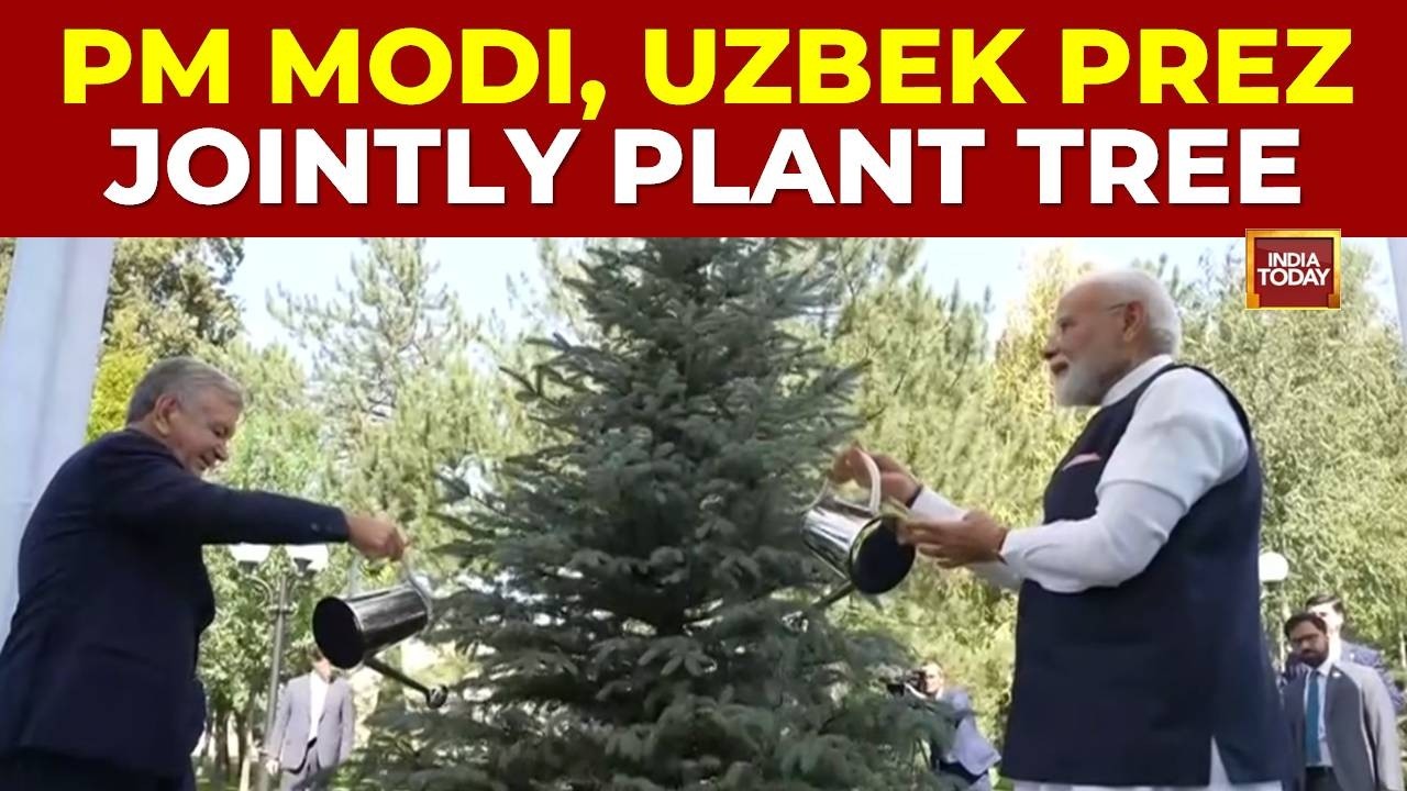 India And Uzbekistan Focus On Environmental Sustainability With Tree Planting Ceremony In Tashkent