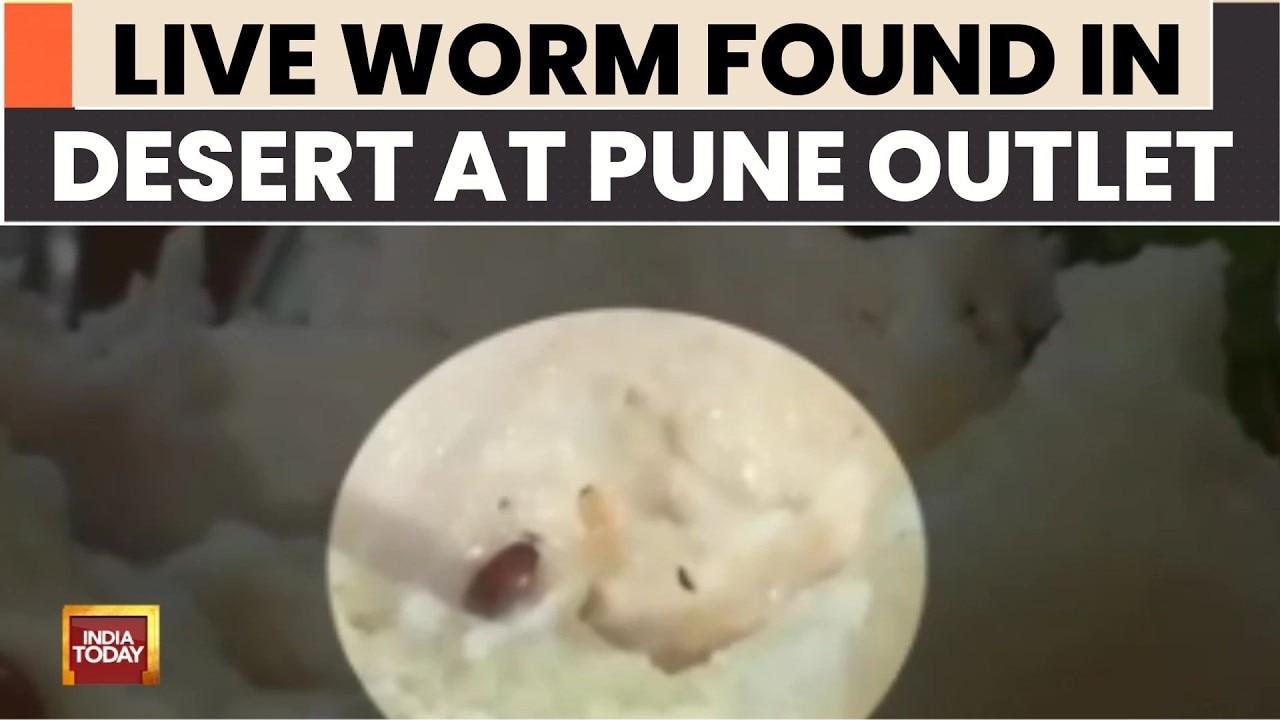 Maggot Found in Paul Bakery Dessert in Pune Following Gurugram Worm Incident