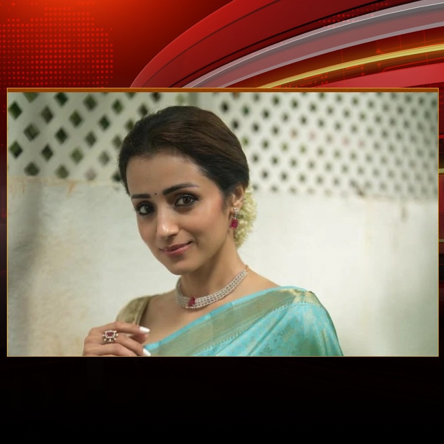 Udhayanidhi vs Vijay: Trisha caught in DMK-TVK political crossfire? Experts weigh in