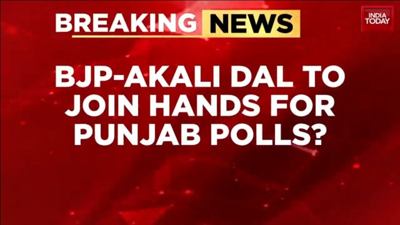 Will SAD Re-Ally With BJP For 2027 Punjab Polls? Key Hints Emerge On Possible Realignment