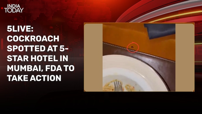 Cockroach spotted at Mumbai five-star hotel, expert flags food safety issue 5Live