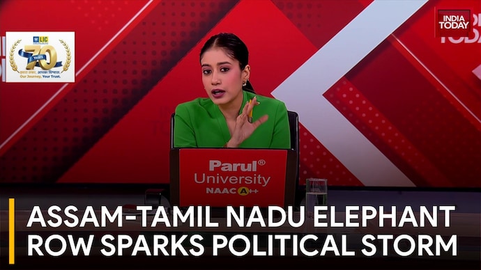 Row Over Assam Elephants Sent To Tamil Nadu; Activists, Opposition Question Move Assam-Tamil Nadu Elephant Row Sparks Political Storm